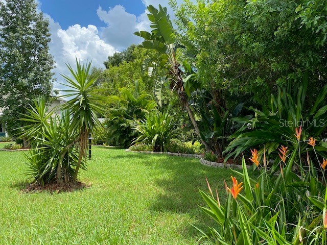 11718 Stonewood Gate Drive Riverview FL 33579 TB8499452 image72