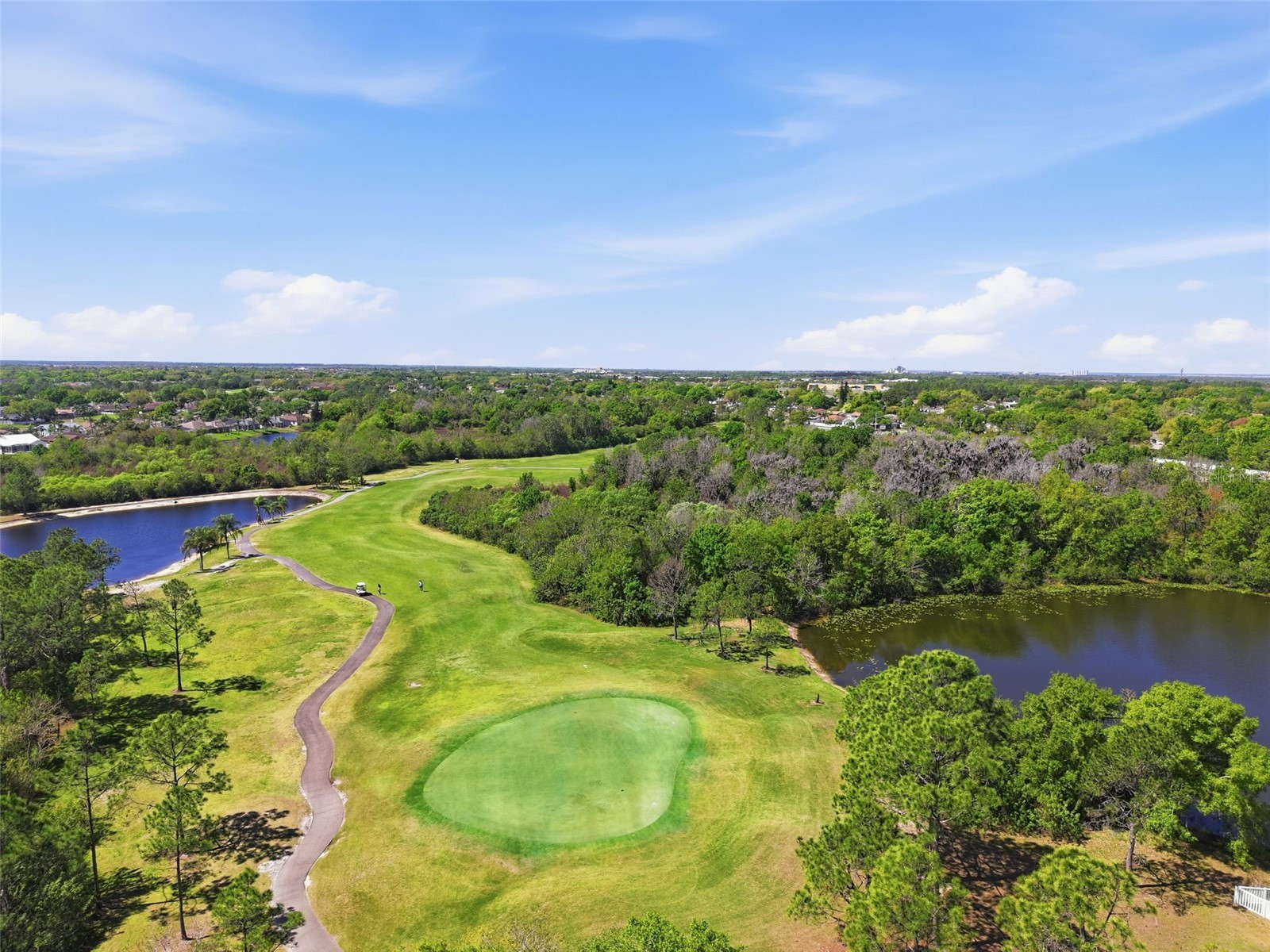 11718 Stonewood Gate Drive Riverview FL 33579 TB8499452 image96