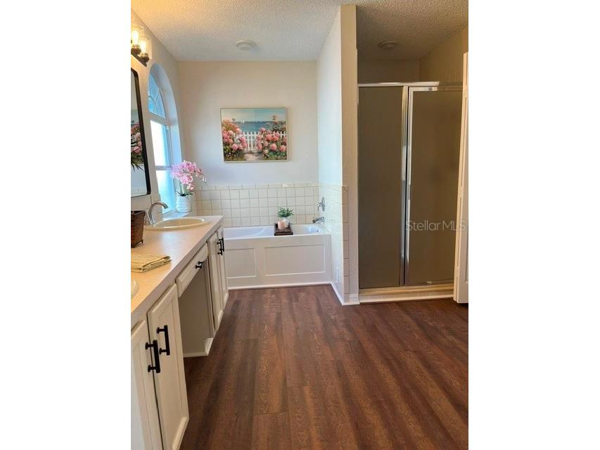 11718 Wheatfield Loop Hudson FL 34667 W7884502 image33