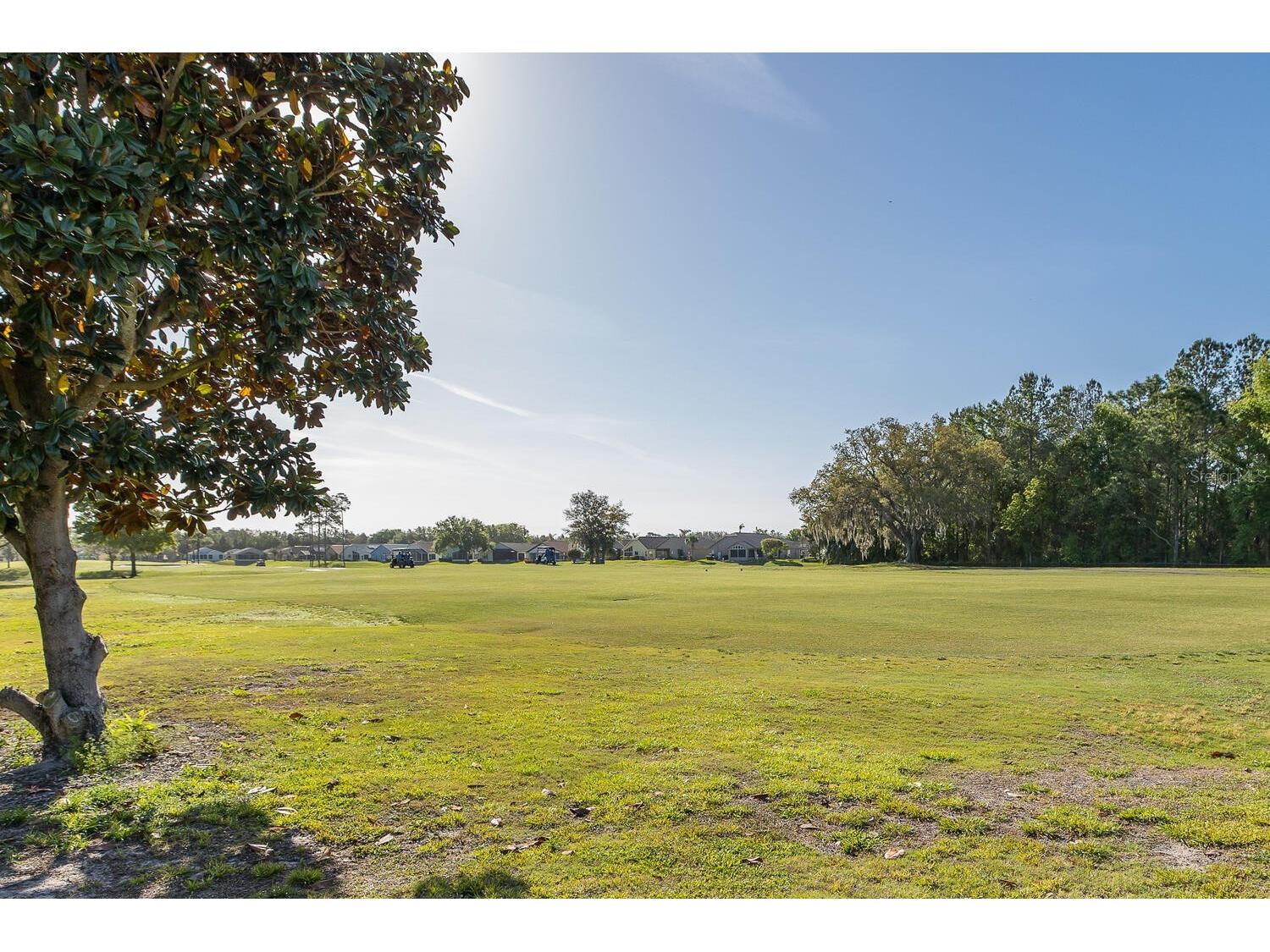 11718 Wheatfield Loop Hudson FL 34667 W7884502 image53