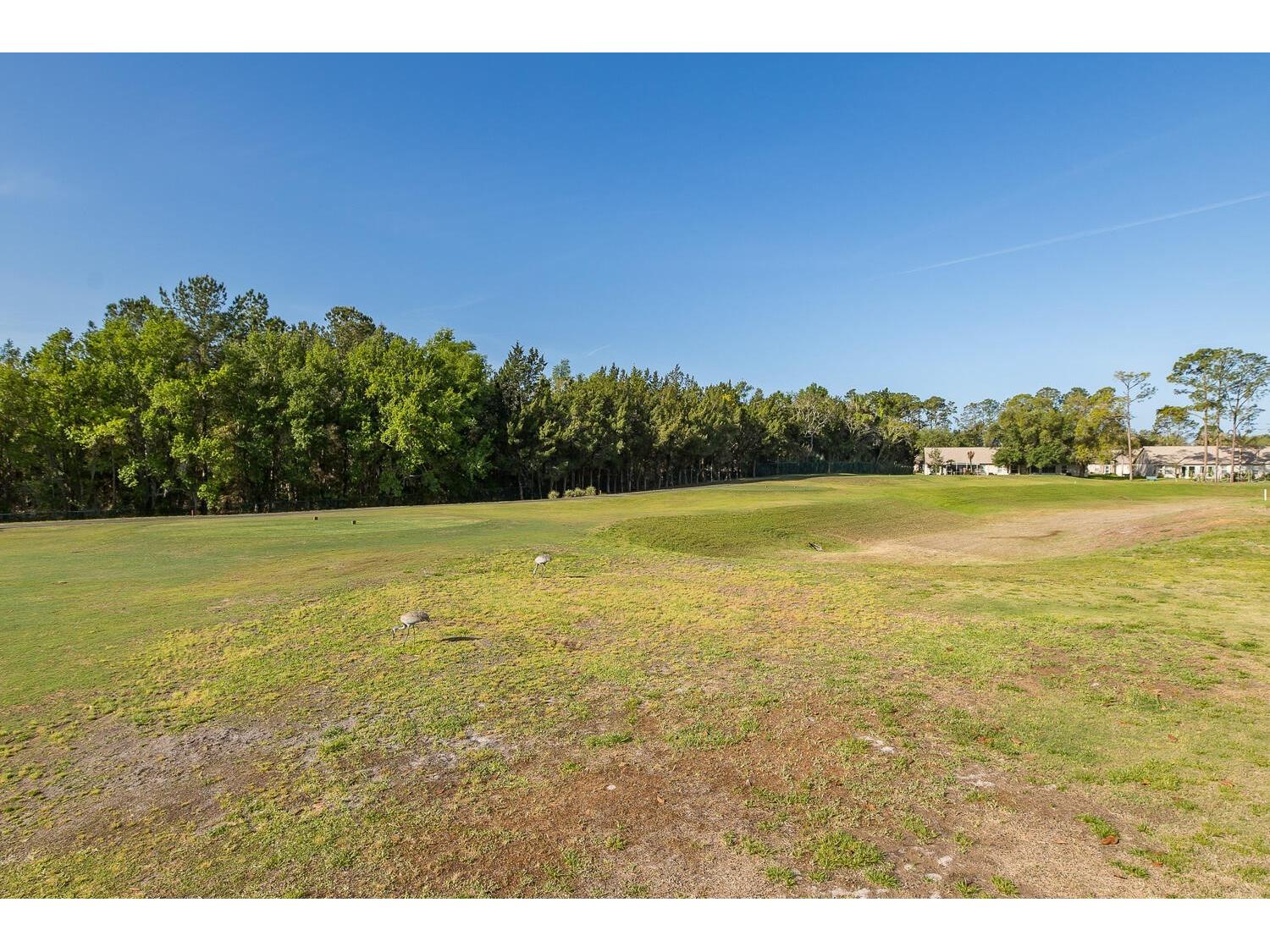 11718 Wheatfield Loop Hudson FL 34667 W7884502 image54