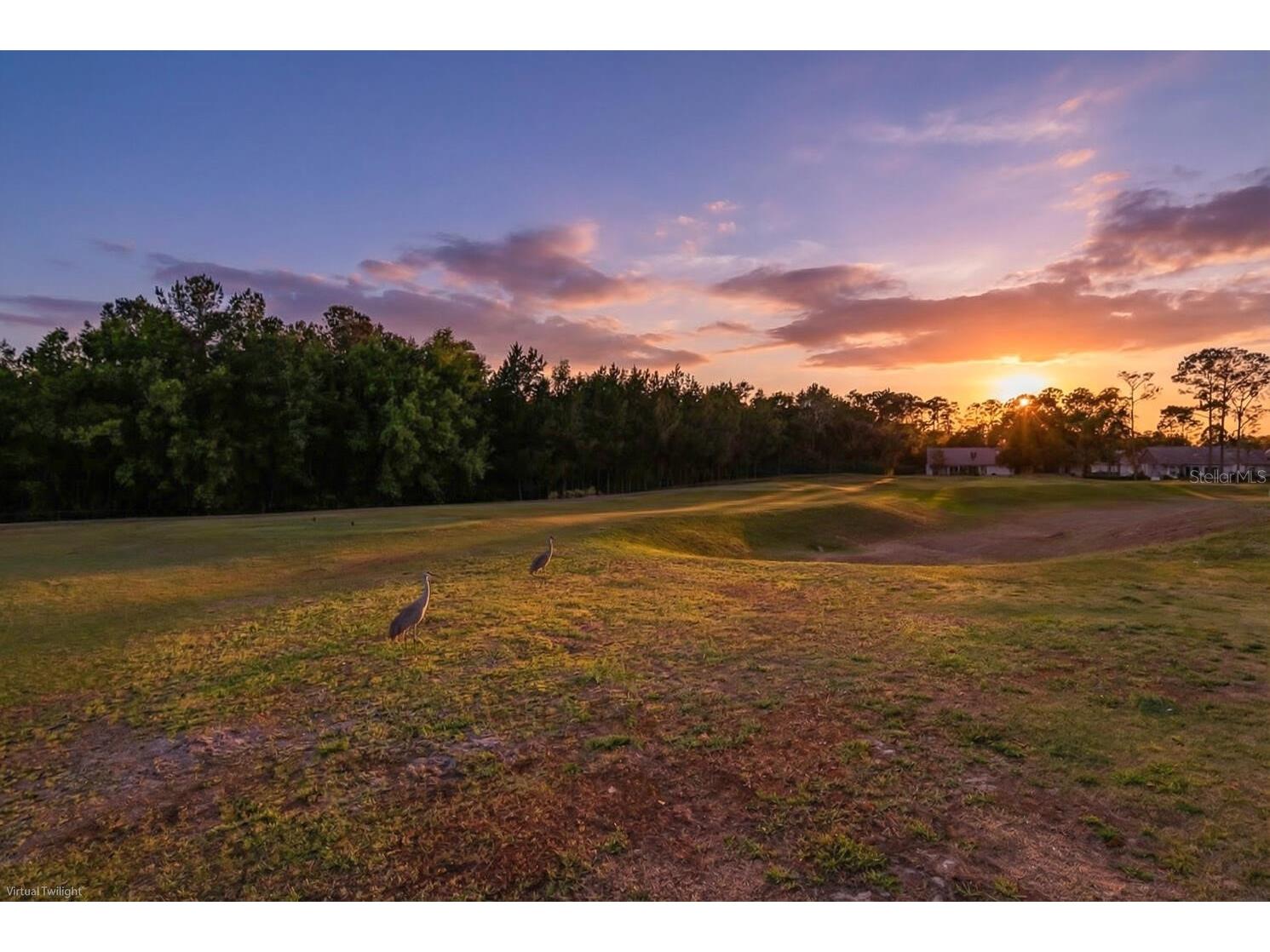 11718 Wheatfield Loop Hudson FL 34667 W7884502 image55