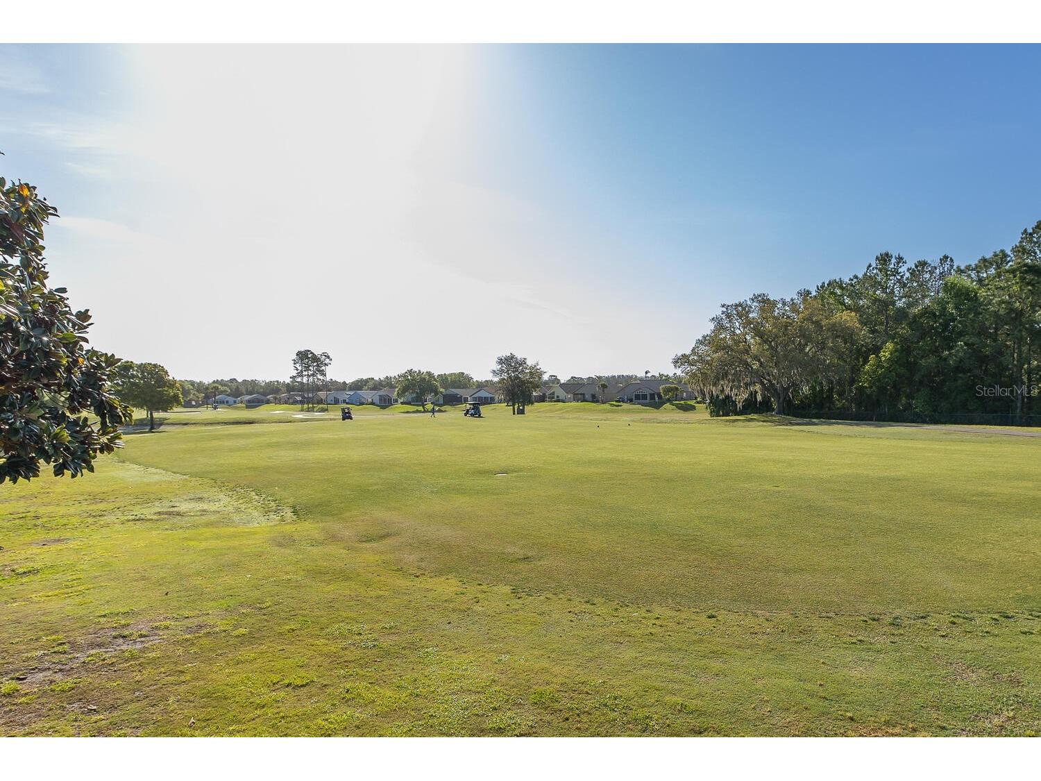 11718 Wheatfield Loop Hudson FL 34667 W7884502 image56