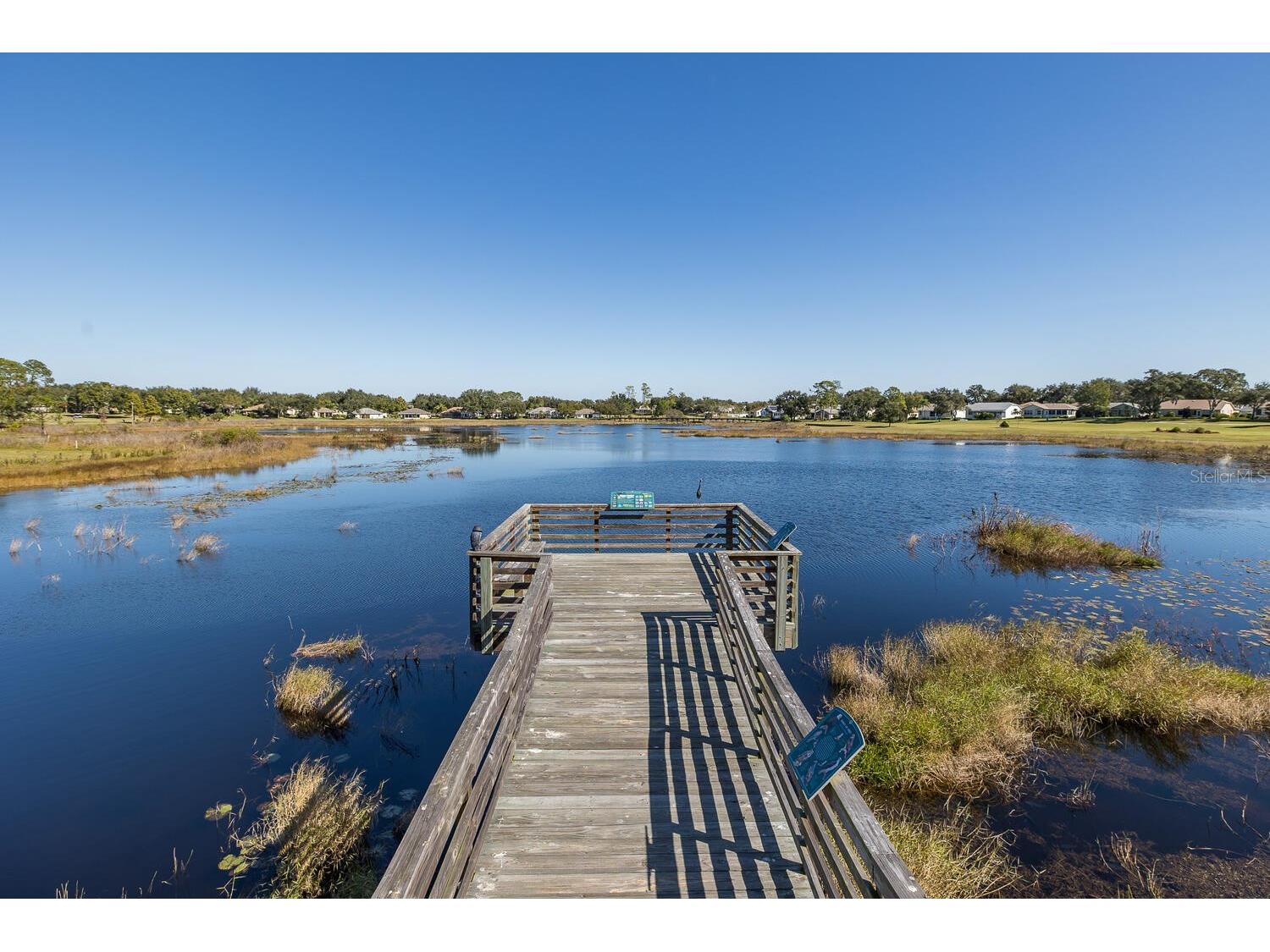 11718 Wheatfield Loop Hudson FL 34667 W7884502 image75