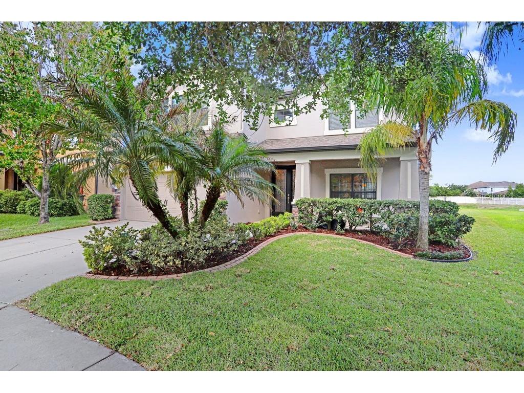 11719 Albatross Lane Riverview FL 33569 TB8500053 image10