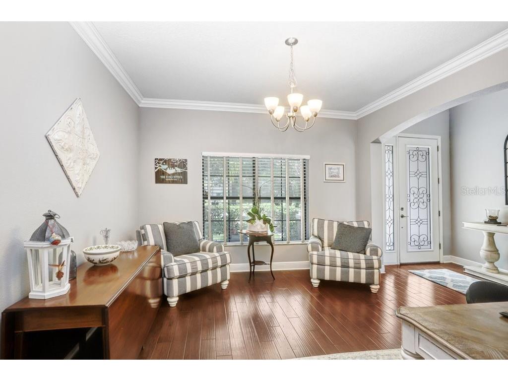 11719 Albatross Lane Riverview FL 33569 TB8500053 image15