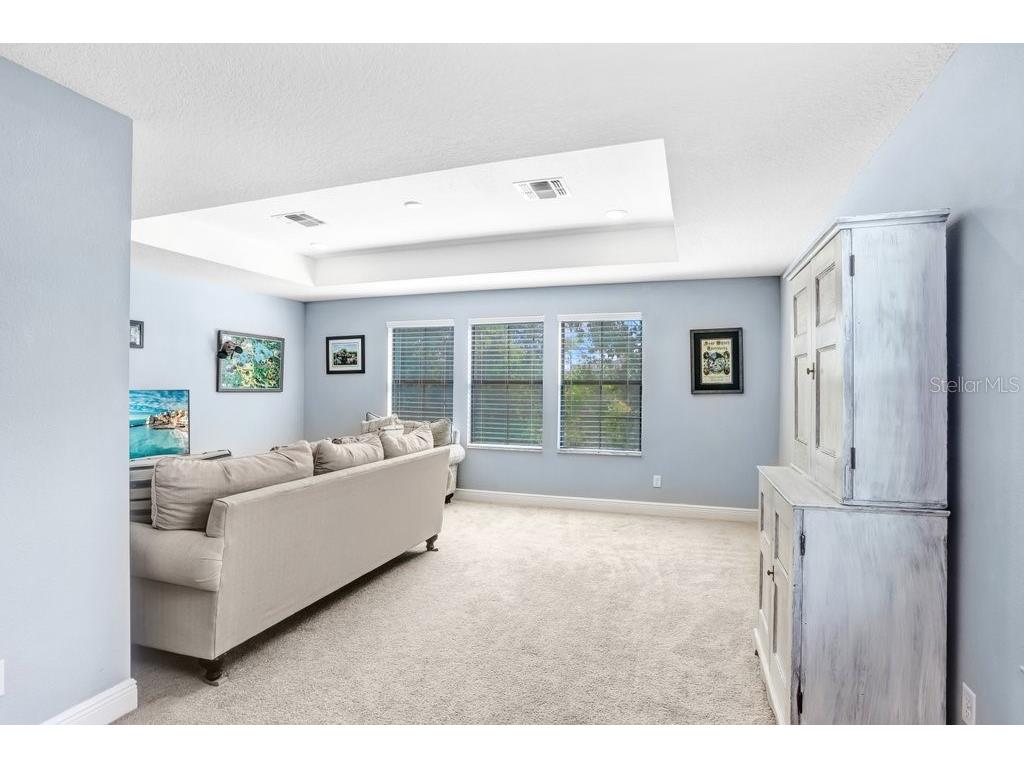 11719 Albatross Lane Riverview FL 33569 TB8500053 image40