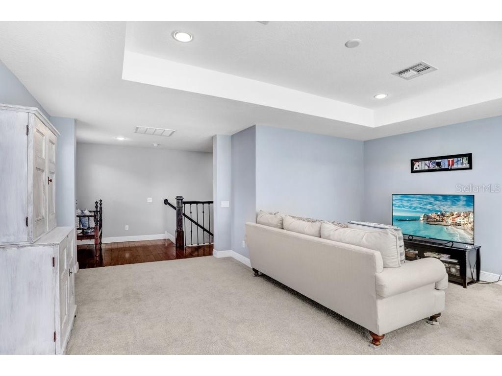 11719 Albatross Lane Riverview FL 33569 TB8500053 image41