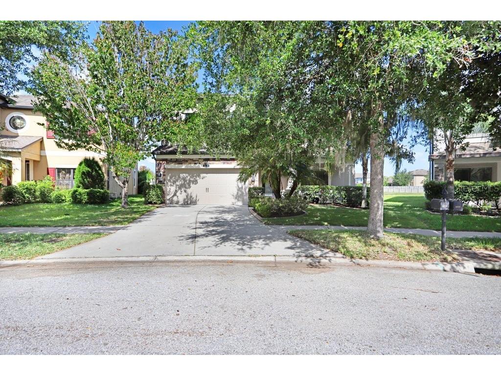11719 Albatross Lane Riverview FL 33569 TB8500053 image9