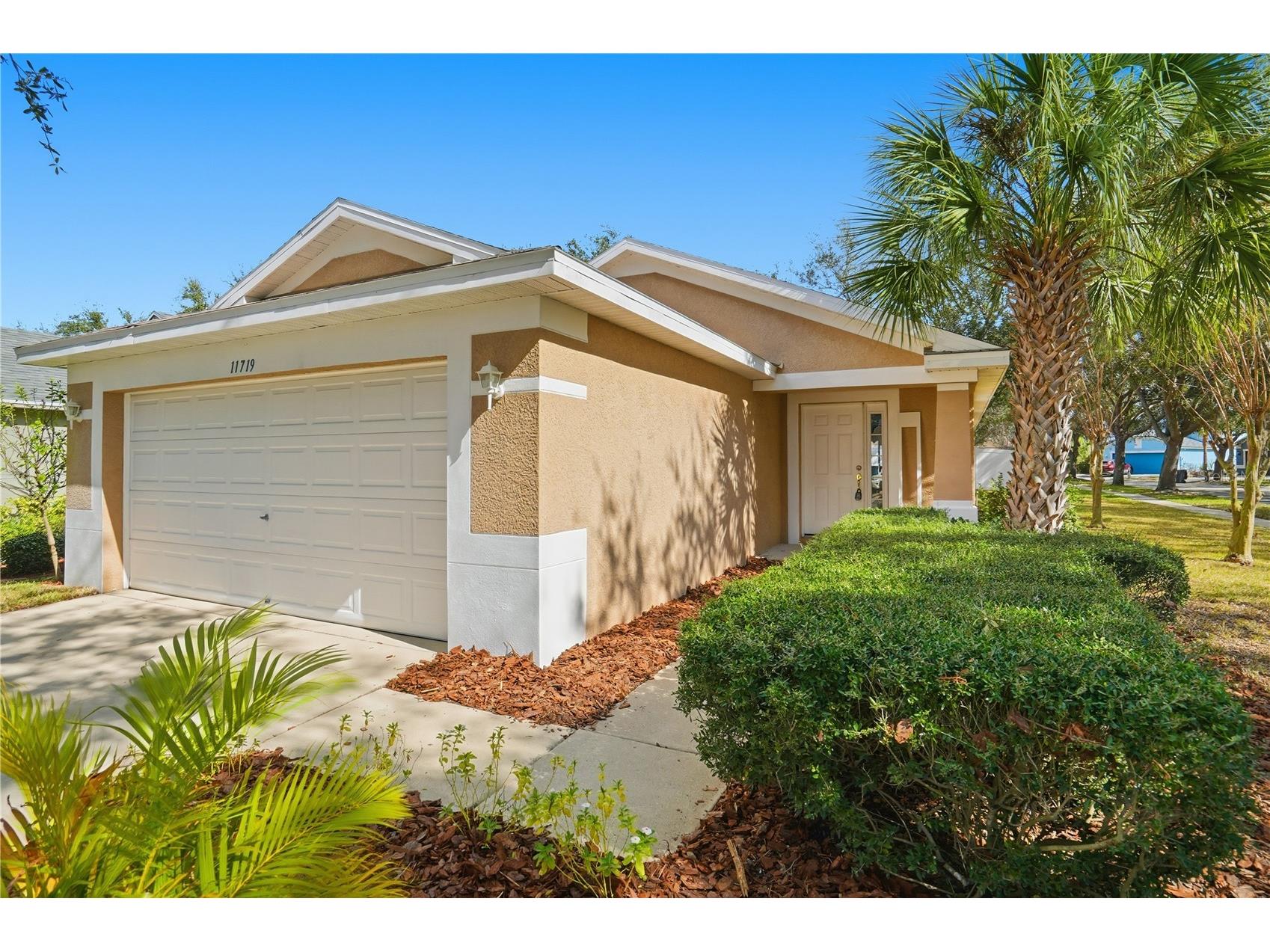 11719 Crest Creek Drive Riverview FL 33569 O6376790 image1