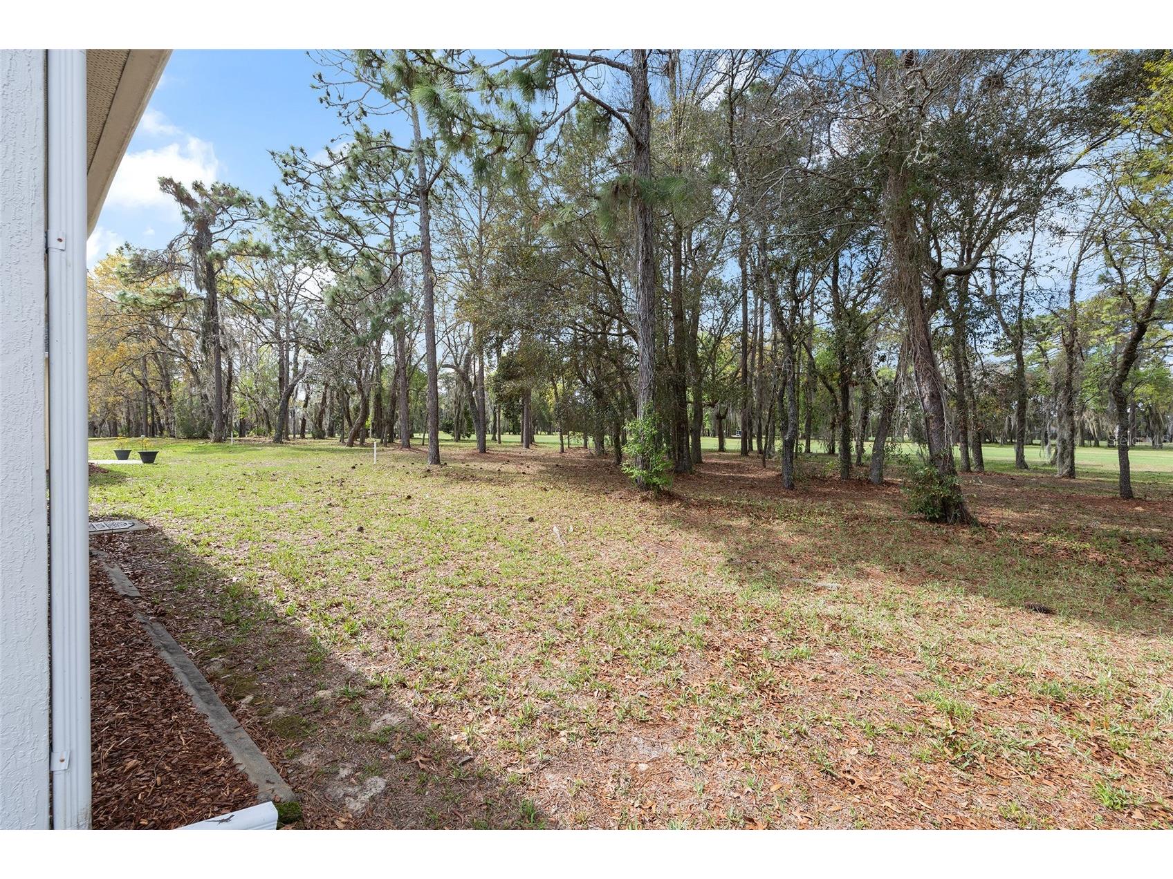 11719 SW 72nd Circle Ocala FL 34476 OM721107 image42