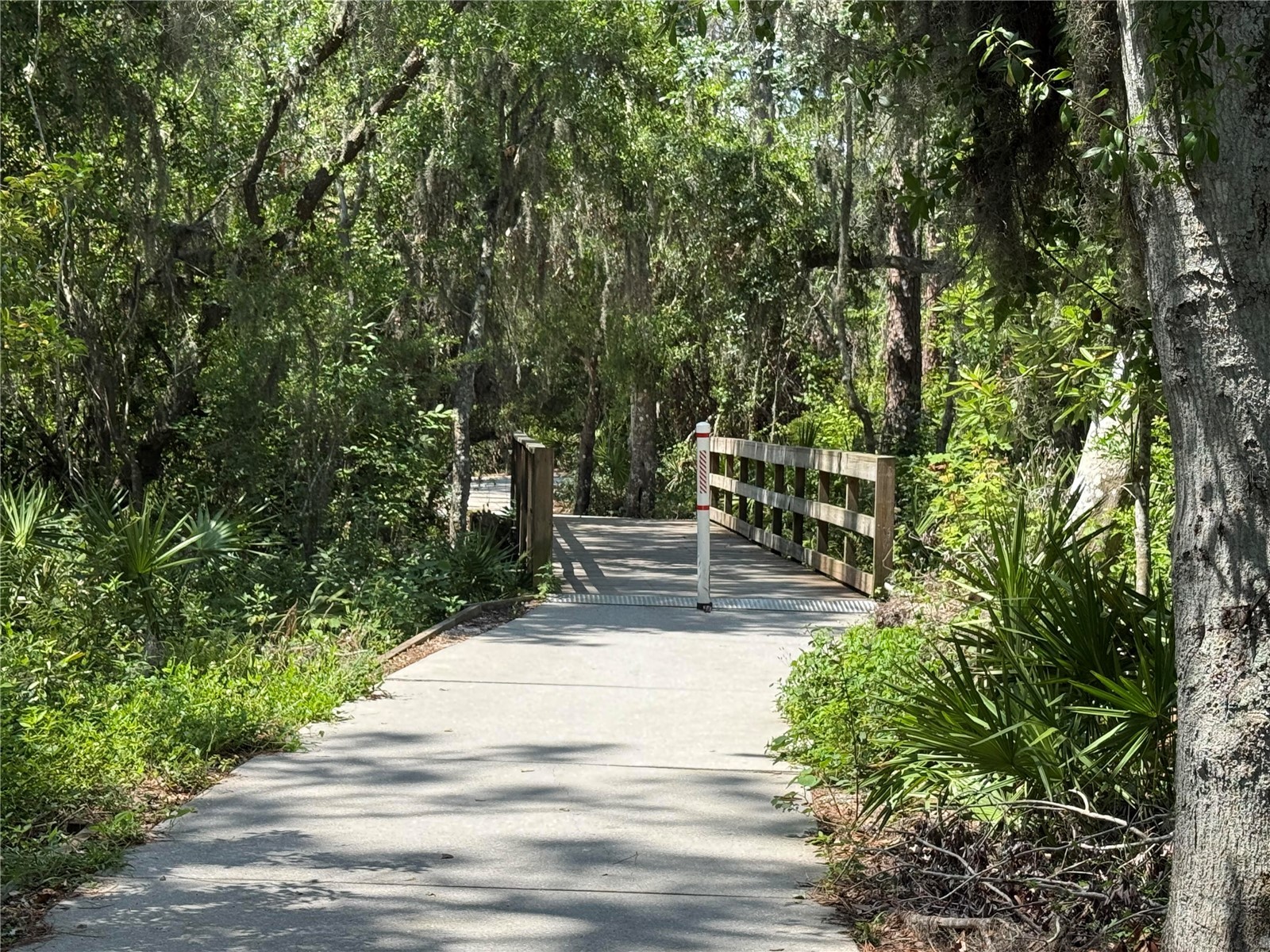 11719 Winding Woods Way Lakewood Ranch FL 34202 A4684698 image37