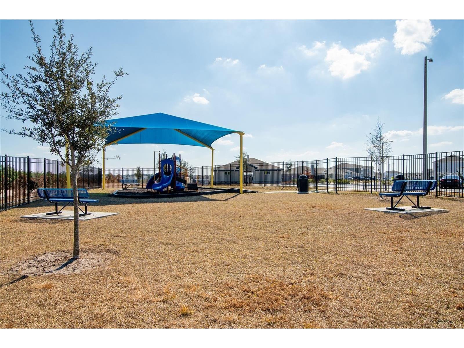 1172 Tyler Loop Winter Haven FL 33884 O6411165 image51