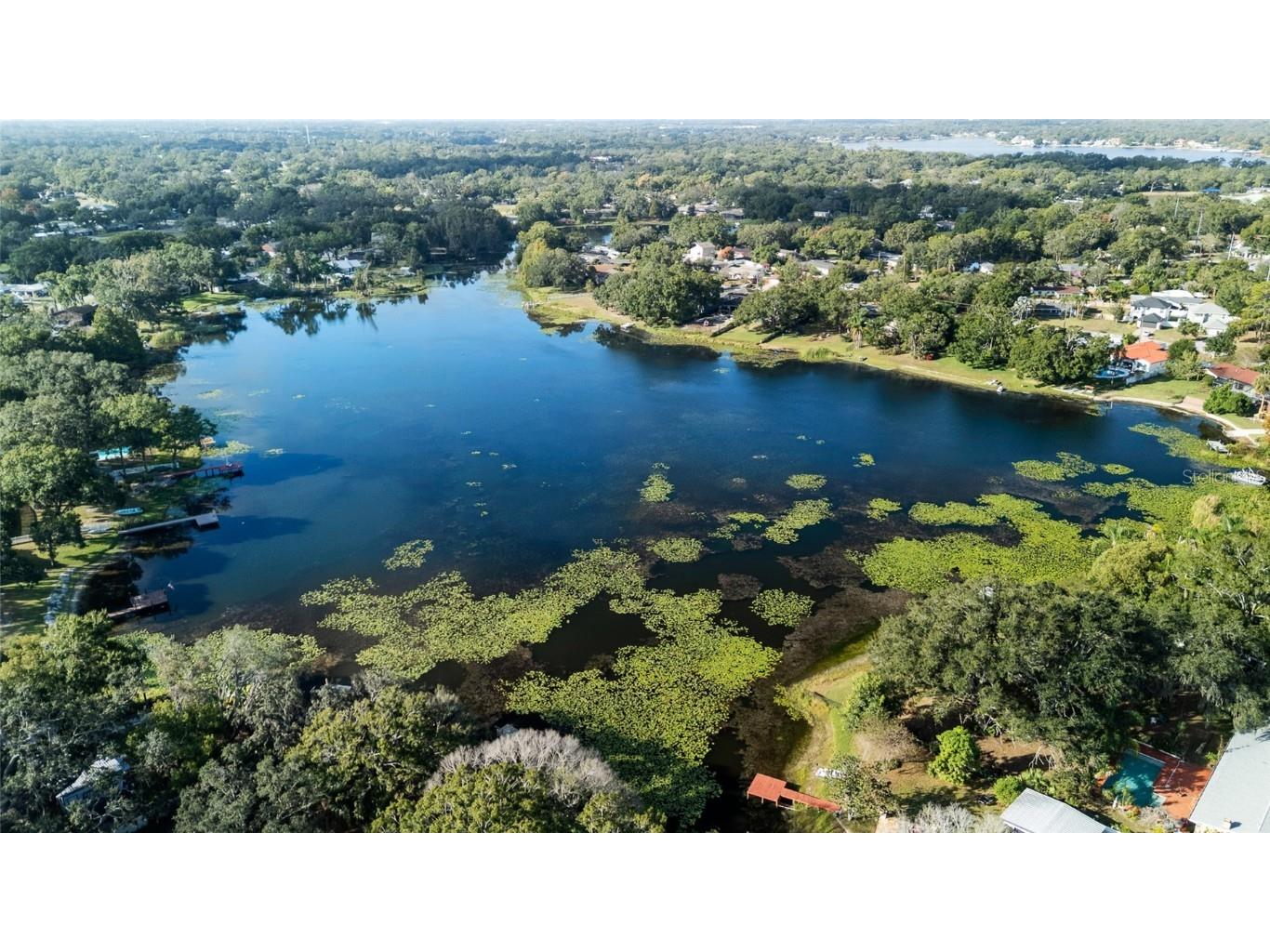 11720 N Edison Avenue Tampa FL 33612 TB8442478 image29