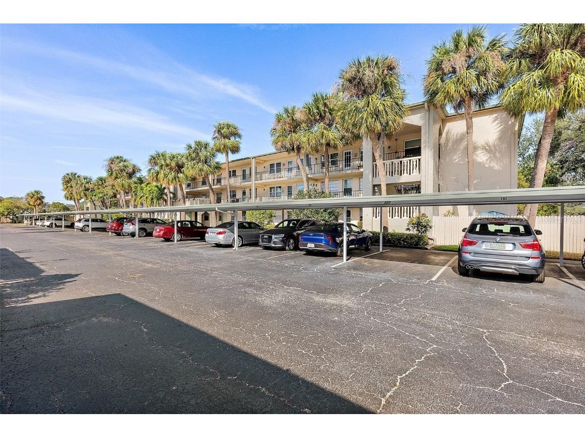 11720 Park Boulevard #309 Seminole FL 33772 TB8336172 image1