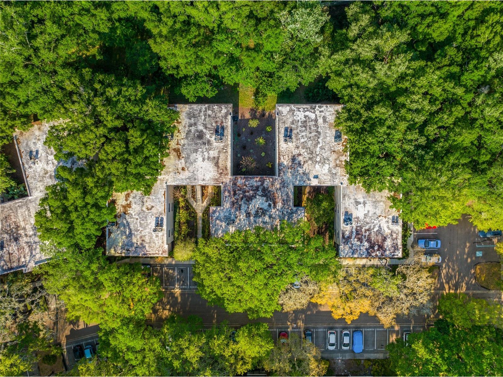11720 Raintree Village Boulevard #A Temple Terrace FL 33617 TB8517211 image22