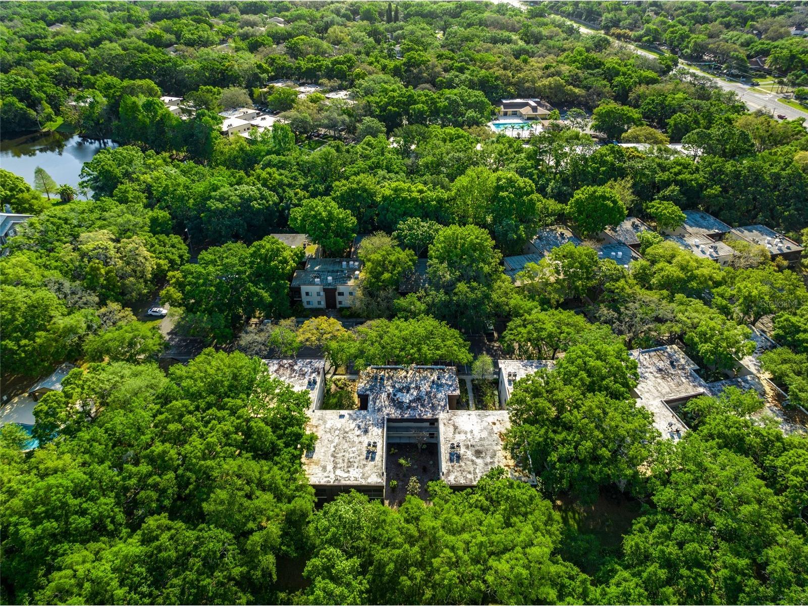 11720 Raintree Village Boulevard #A Temple Terrace FL 33617 TB8517211 image23