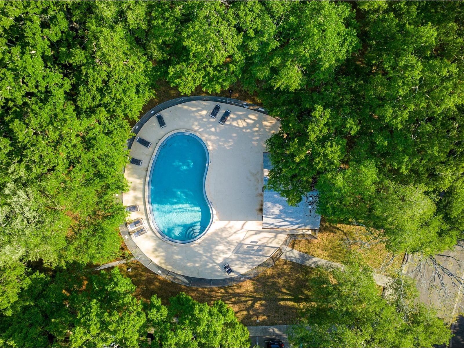 11720 Raintree Village Boulevard #A Temple Terrace FL 33617 TB8517211 image25