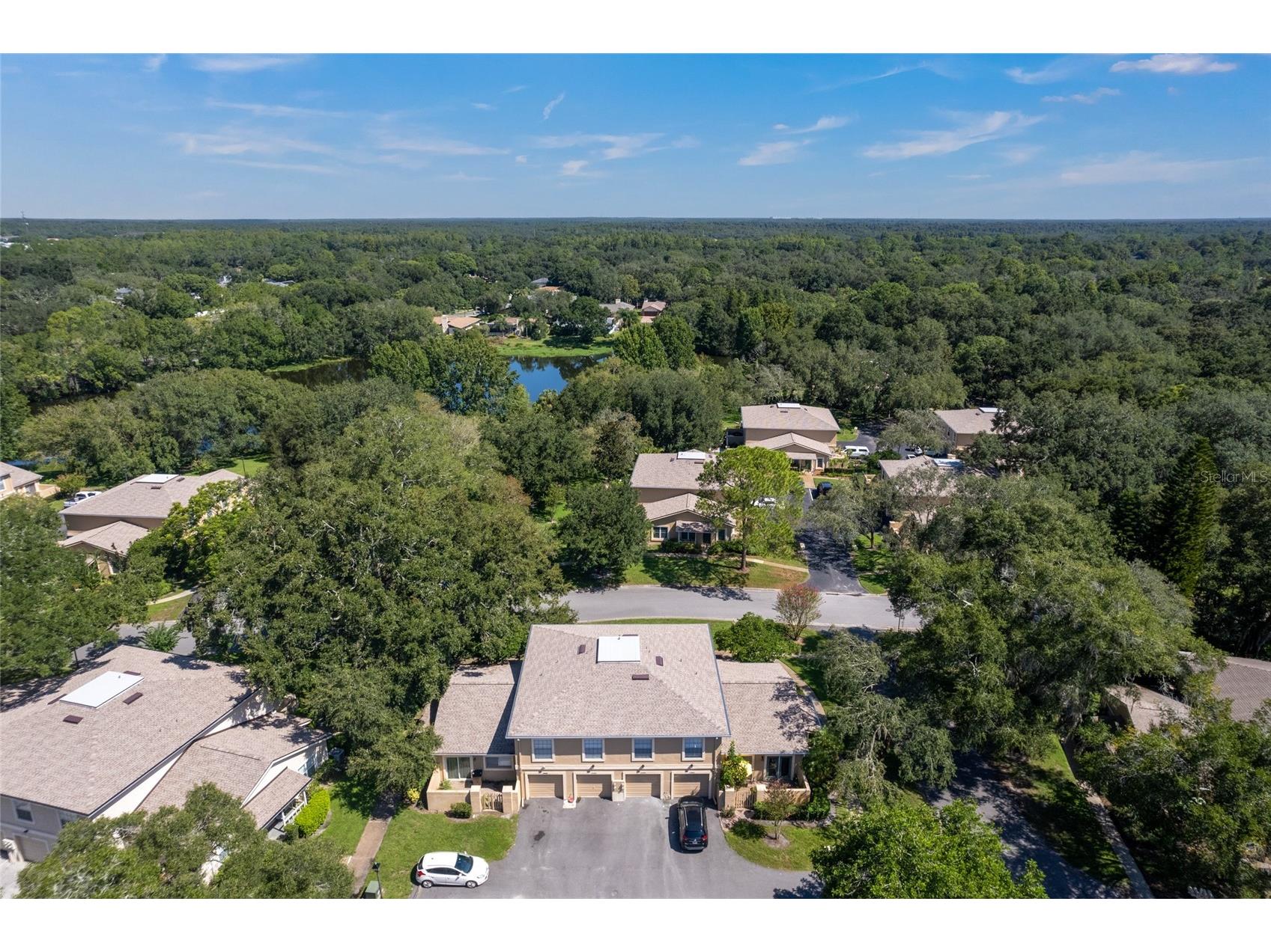11720 Raintree Village Boulevard #A Temple Terrace FL 33617 TB8517211 image27