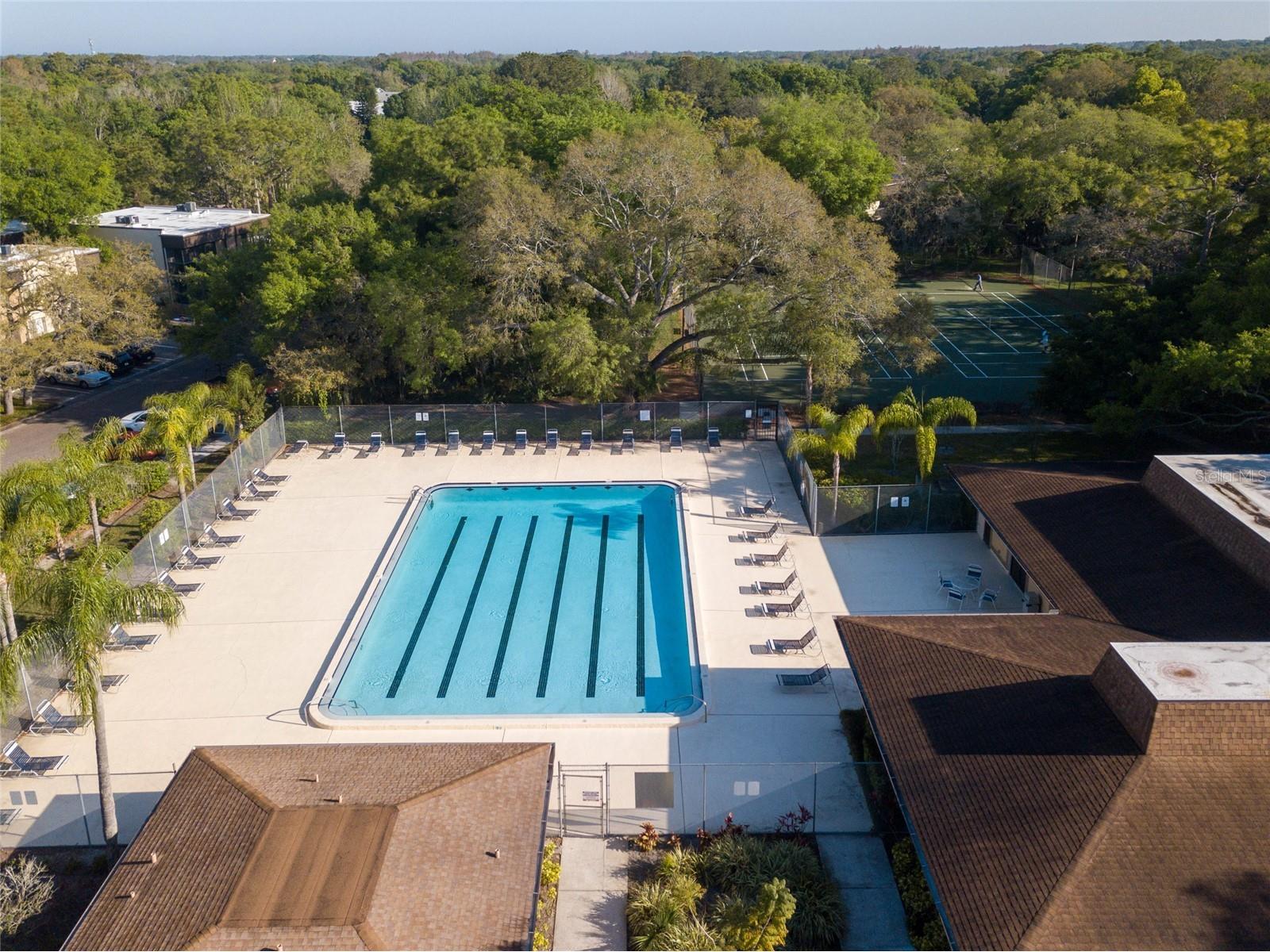 11720 Raintree Village Boulevard #A Temple Terrace FL 33617 TB8517211 image30