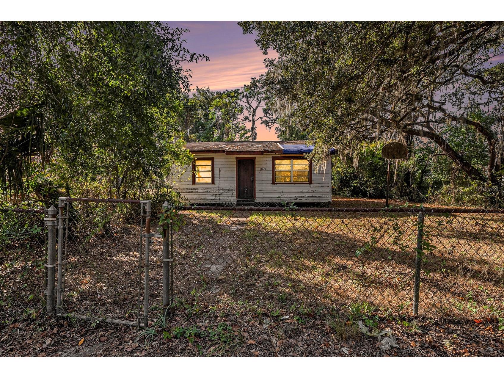 11720 Williams Road Thonotosassa FL 33592 TB8447468 image1