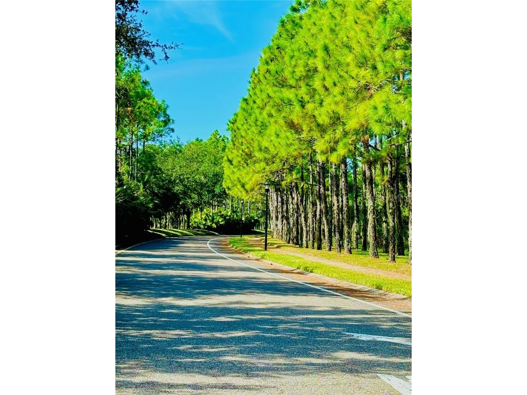 11721 Gilmerton Drive Riverview FL 33579 TB8440713 image44