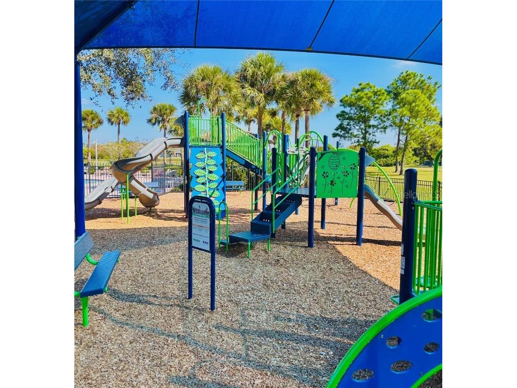 11721 Gilmerton Drive Riverview FL 33579 TB8440713 image48