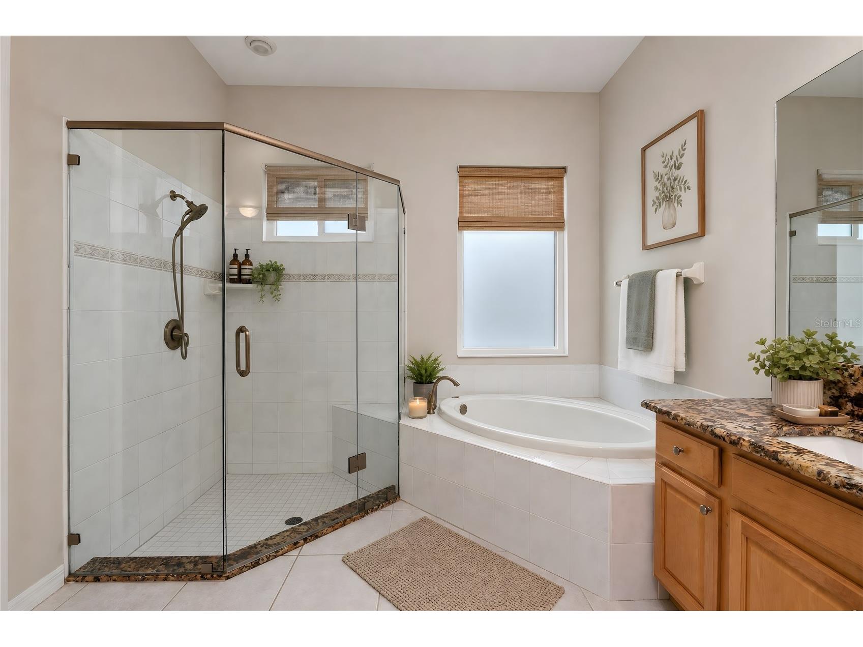 11721 Gothic Lane Tampa FL 33626 TB8512627 image19