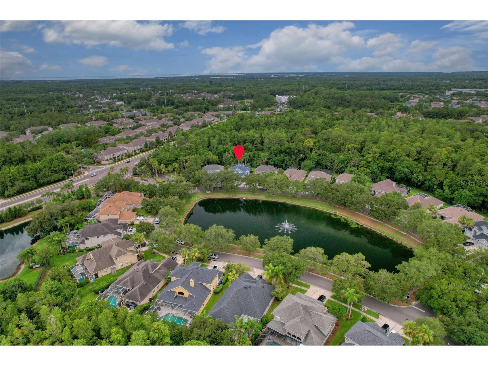 11721 Gothic Lane Tampa FL 33626 TB8512627 image2