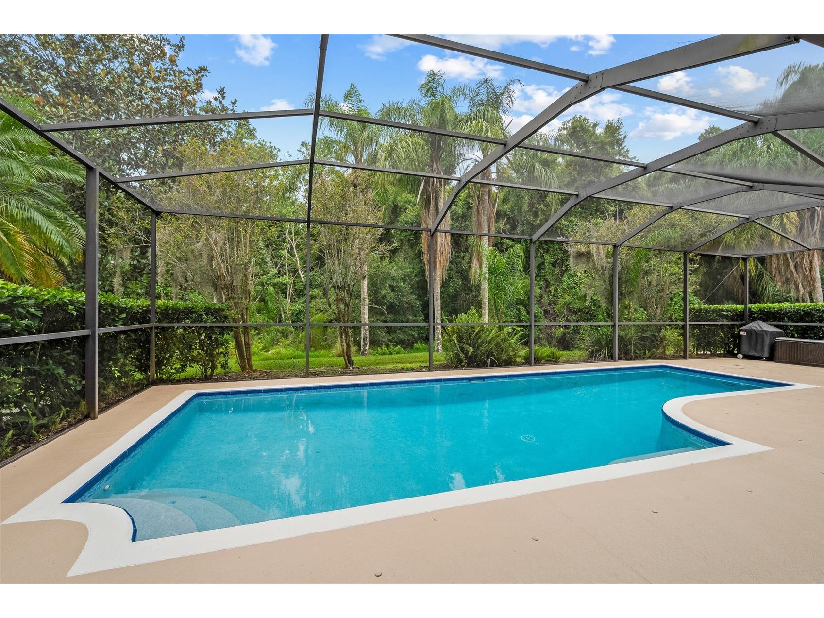 11721 Gothic Lane Tampa FL 33626 TB8512627 image31