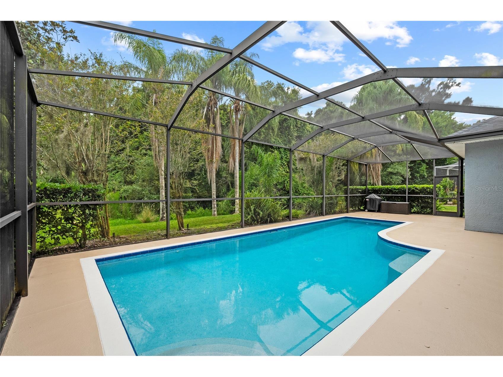 11721 Gothic Lane Tampa FL 33626 TB8512627 image32