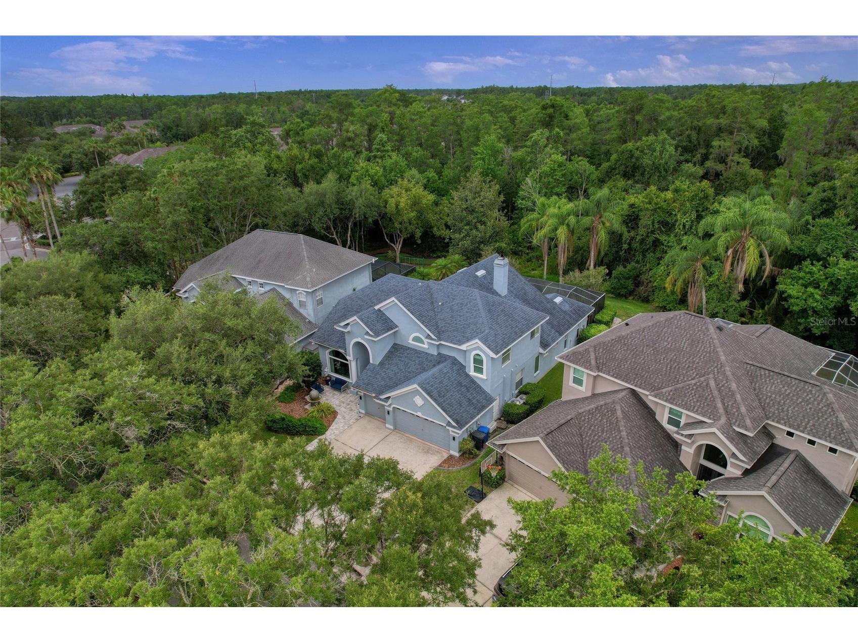 11721 Gothic Lane Tampa FL 33626 TB8512627 image4