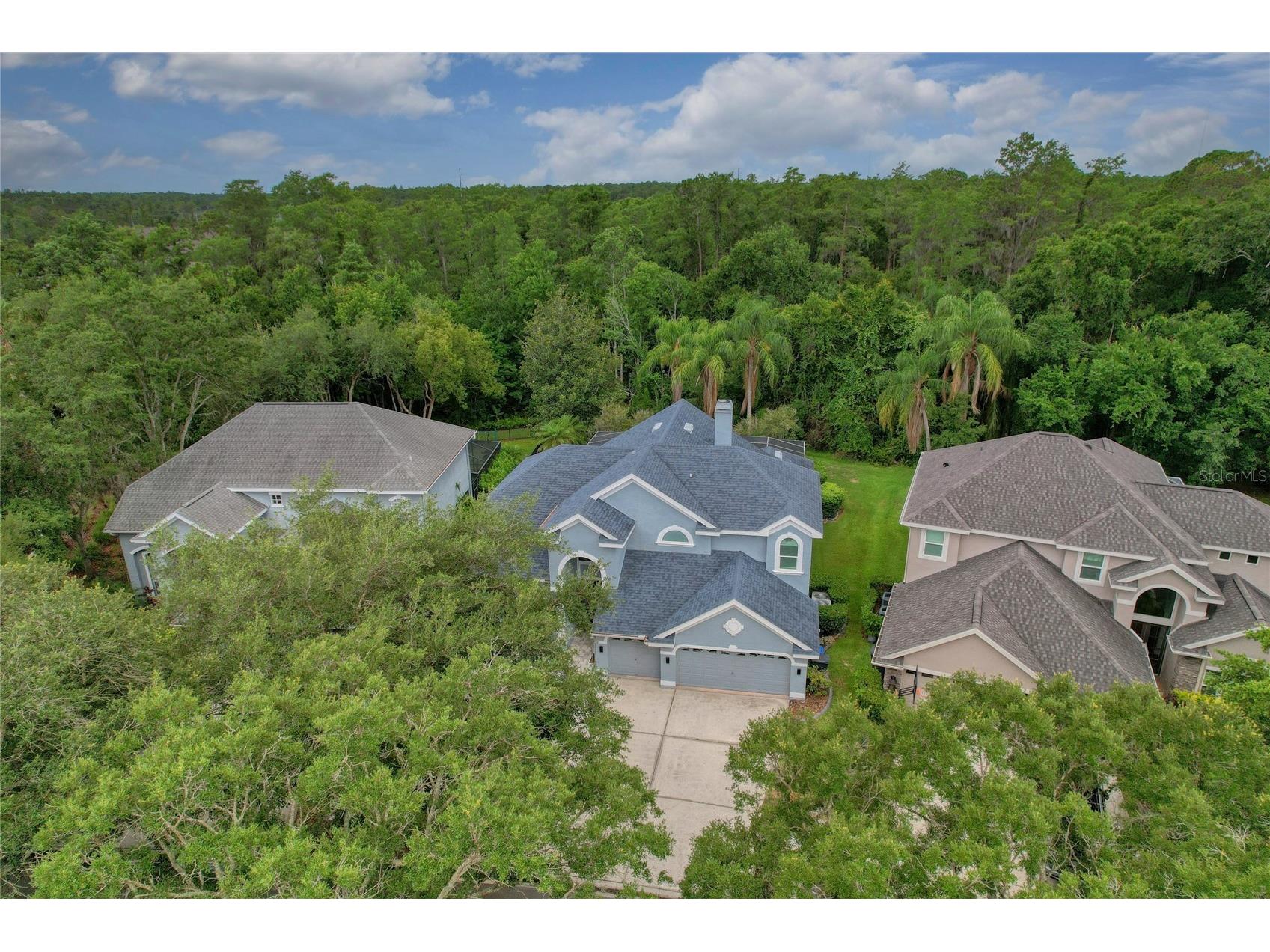 11721 Gothic Lane Tampa FL 33626 TB8512627 image40