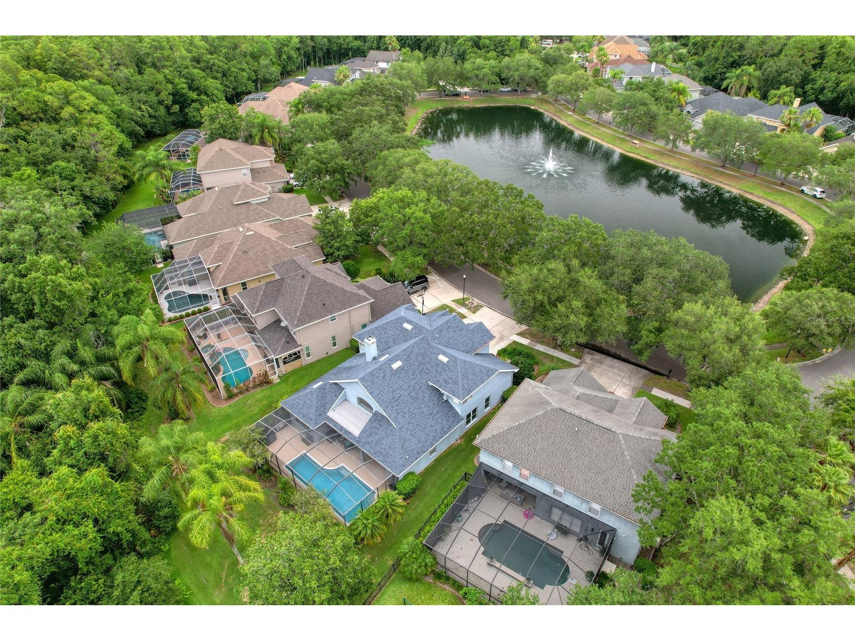 11721 Gothic Lane Tampa FL 33626 TB8512627 image5