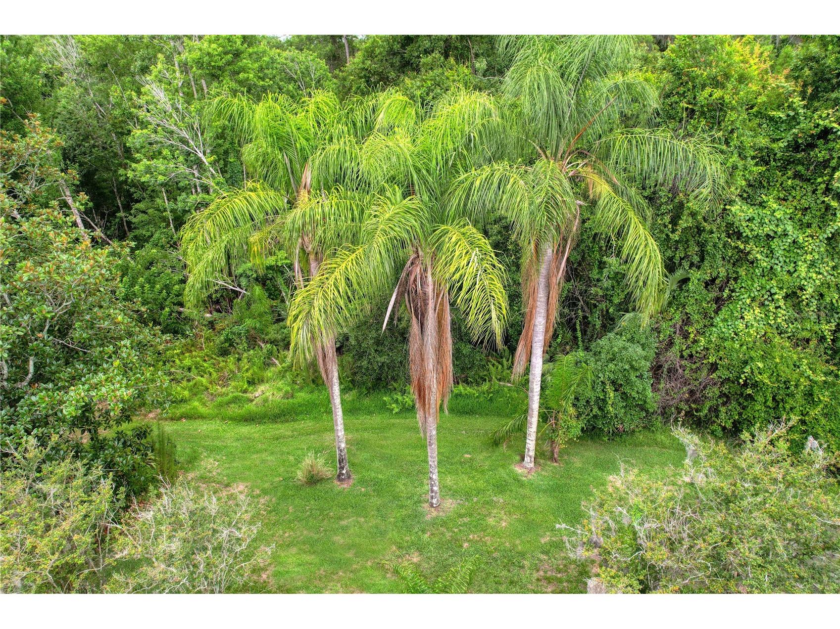 11721 Gothic Lane Tampa FL 33626 TB8512627 image6