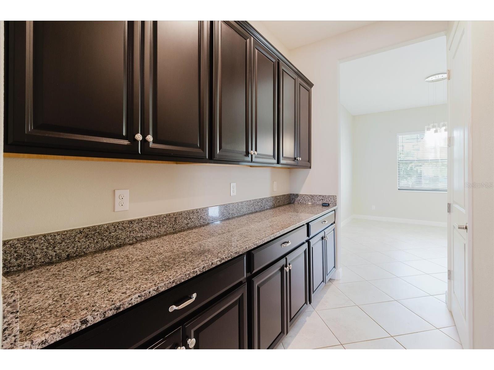 11721 Sunburst Marble Road Riverview FL 33579 TB8501773 image8