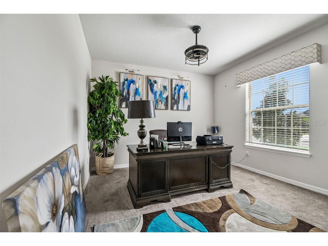 11722 Clare Hill Avenue Riverview FL 33579 TB8447766 image35