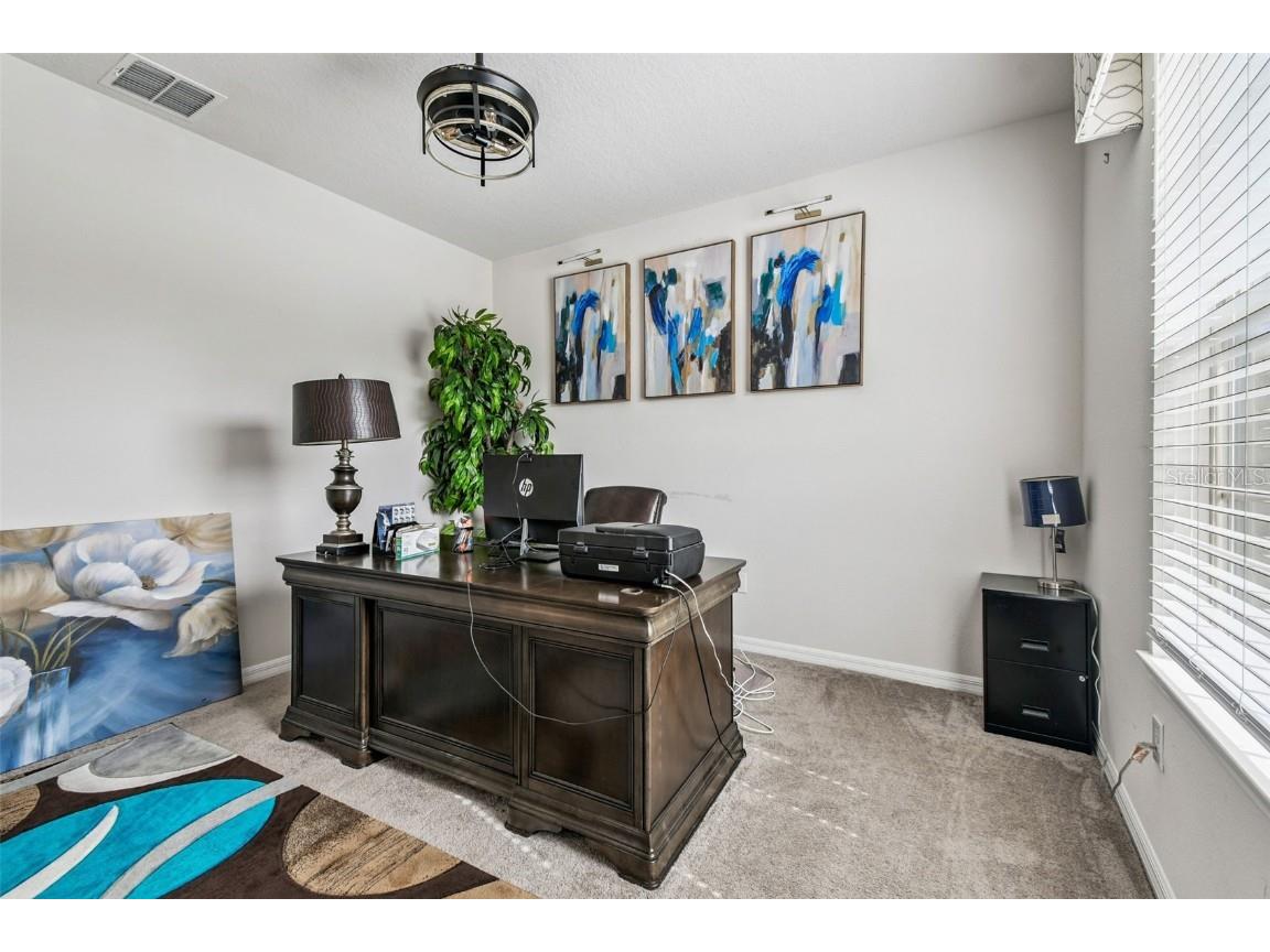 11722 Clare Hill Avenue Riverview FL 33579 TB8447766 image36