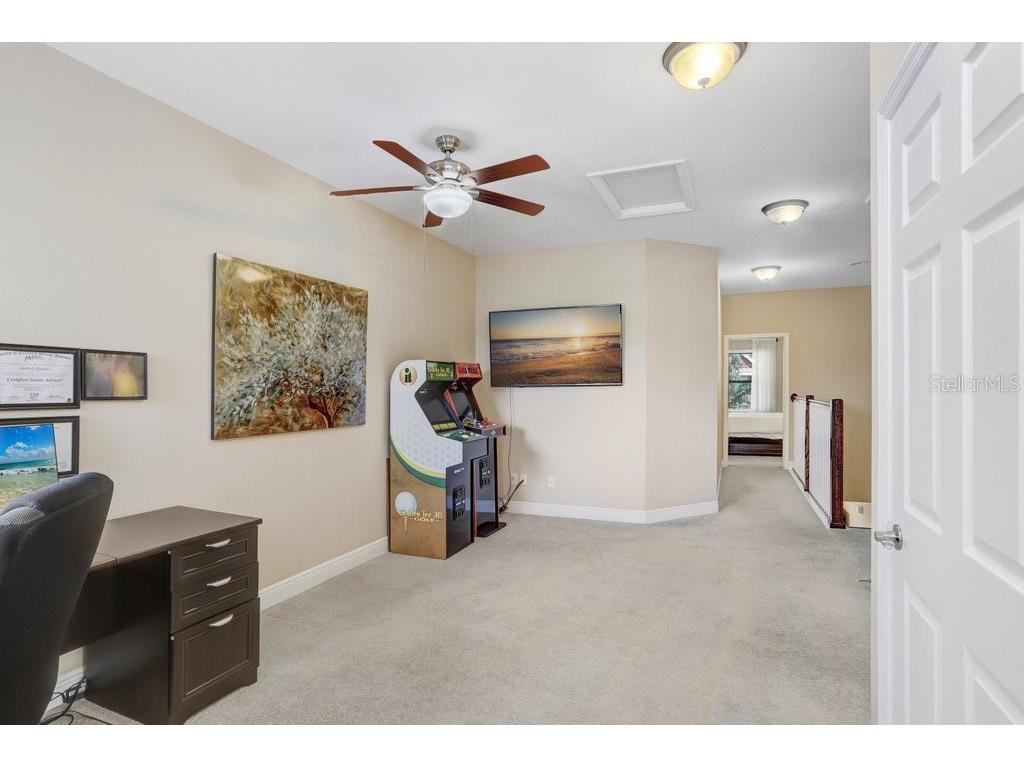 11722 Crowned Sparrow Lane Tampa FL 33626 TB8421384 image13