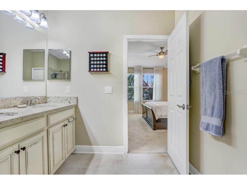 11722 Crowned Sparrow Lane Tampa FL 33626 TB8421384 image18