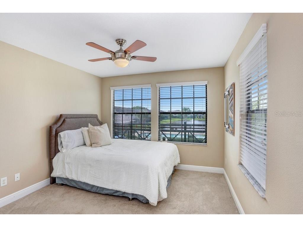 11722 Crowned Sparrow Lane Tampa FL 33626 TB8421384 image19