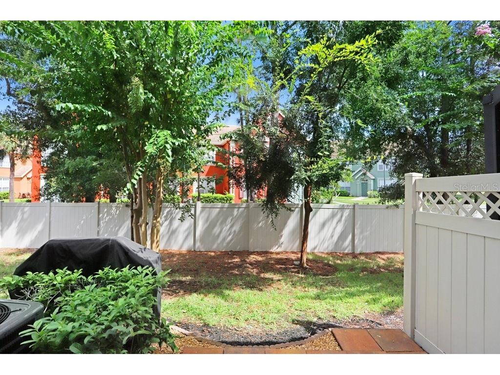 11722 Crowned Sparrow Lane Tampa FL 33626 TB8421384 image22