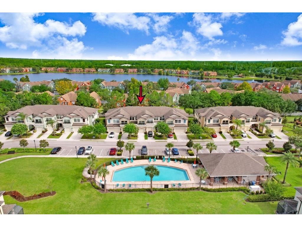 11722 Crowned Sparrow Lane Tampa FL 33626 TB8421384 image28