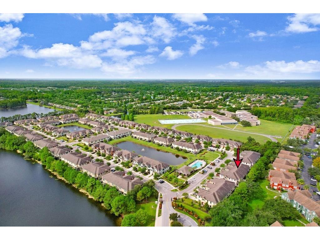 11722 Crowned Sparrow Lane Tampa FL 33626 TB8421384 image29