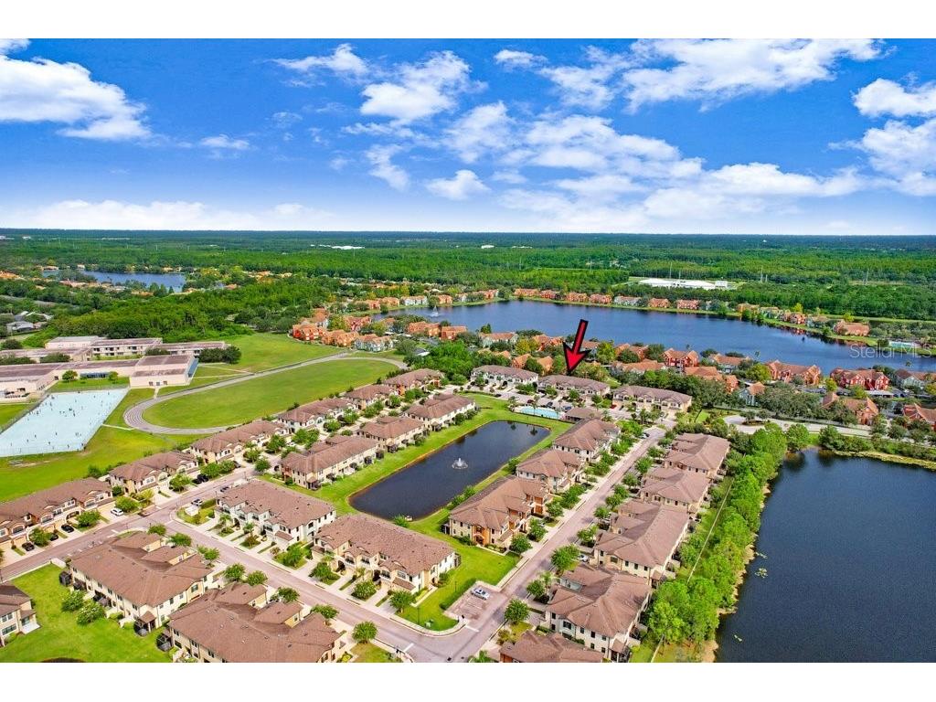 11722 Crowned Sparrow Lane Tampa FL 33626 TB8421384 image30