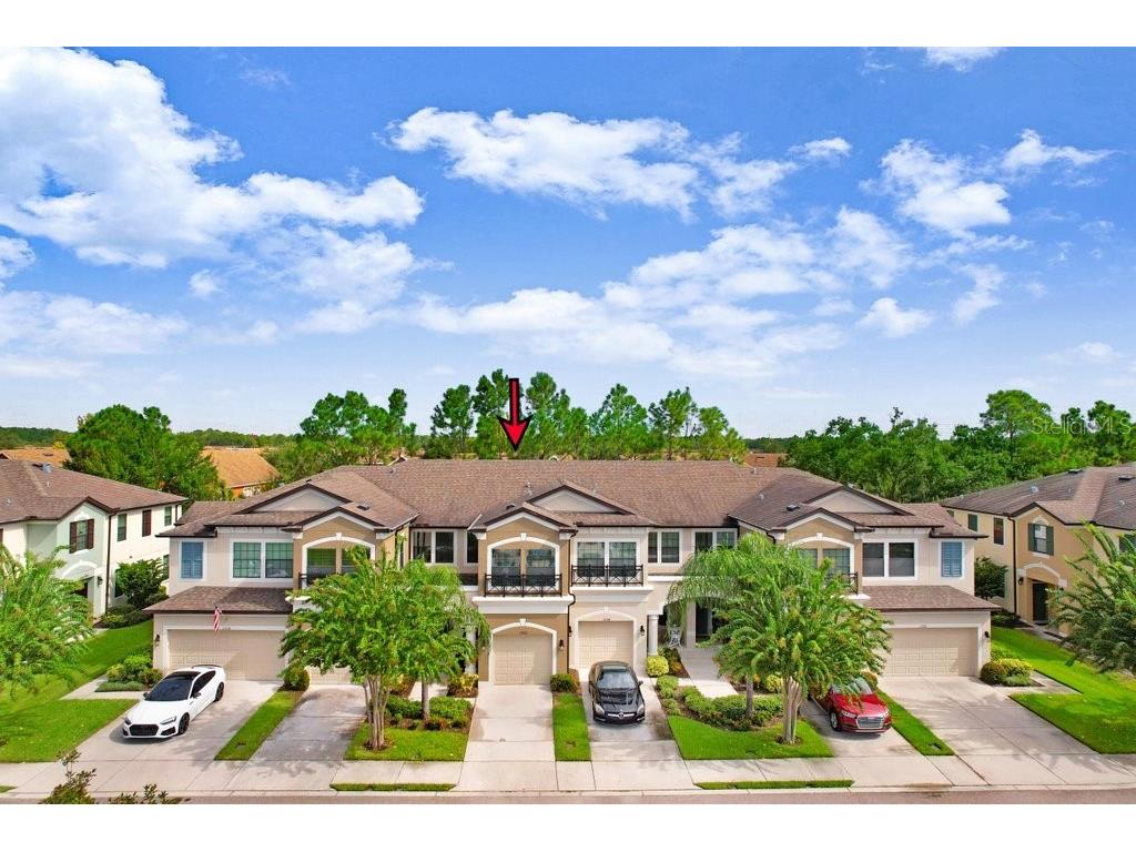 11722 Crowned Sparrow Lane Tampa FL 33626 TB8421384 image31