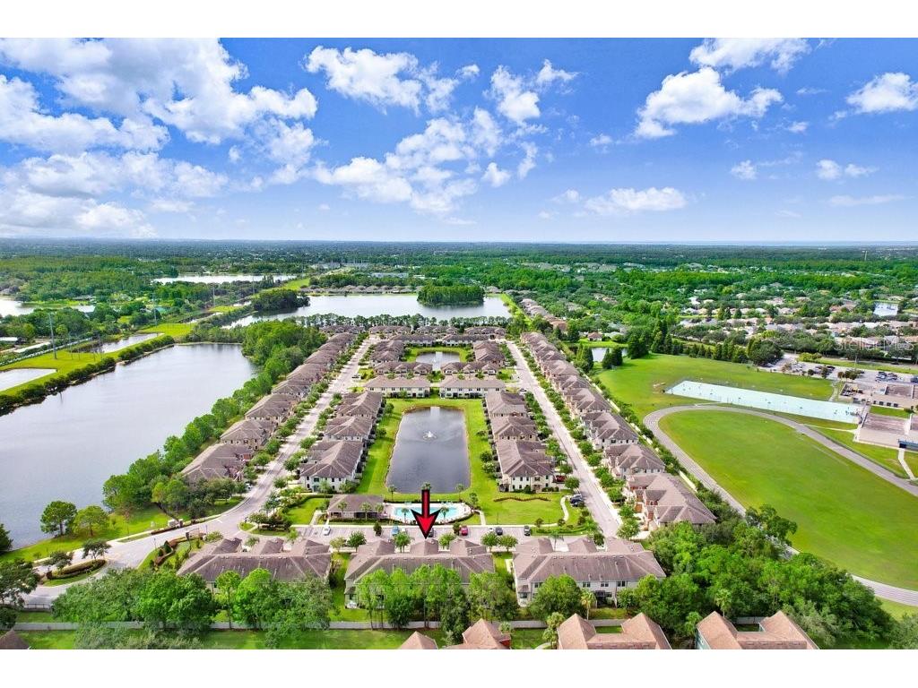 11722 Crowned Sparrow Lane Tampa FL 33626 TB8421384 image32