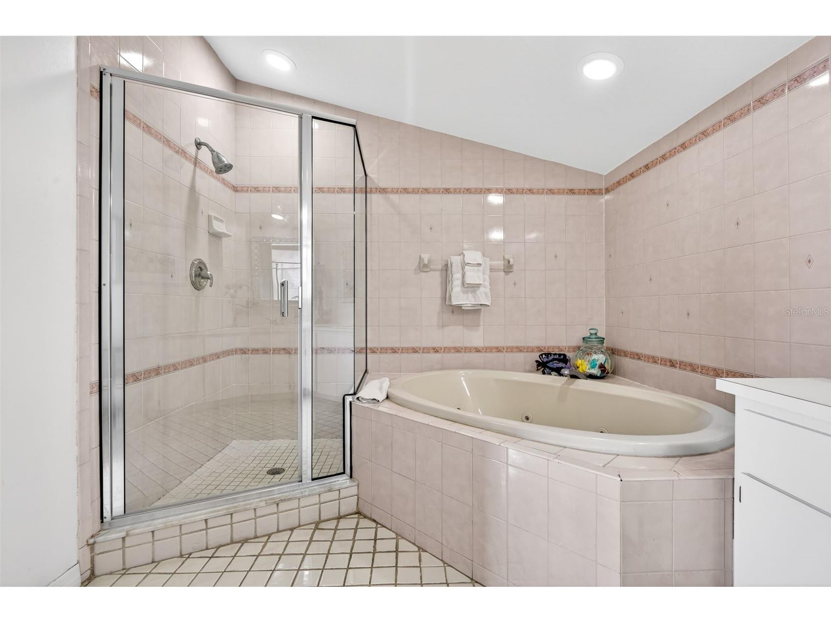 11722 Currie Lane #F2 Largo FL 33774 TB8478633 image16