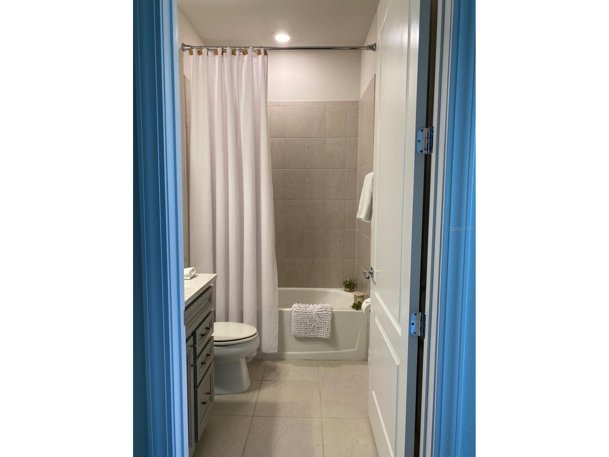 11723 Brighton Knoll Loop Riverview FL 33579 TB8529058 image25
