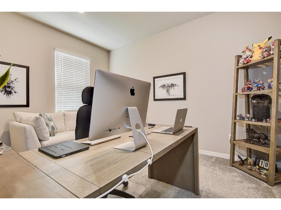 11723 Clare Hill Avenue Riverview FL 33579 TB8432046 image21